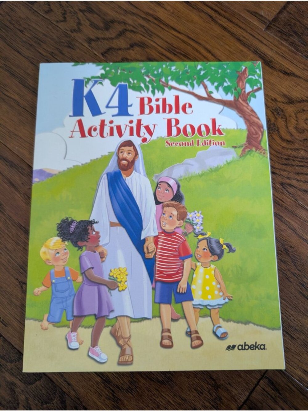 K4 Bible Activity Book Christian Homeschool Curriculum Abeka Unused 2nd edition